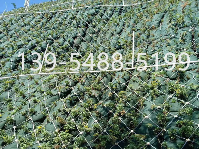 生态棒