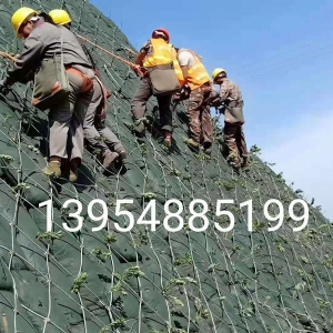 生态棒
