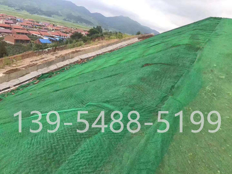 三维植被网