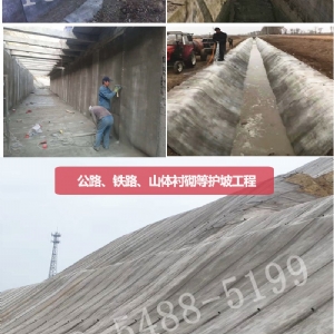 混凝土毯(速干水泥毯）