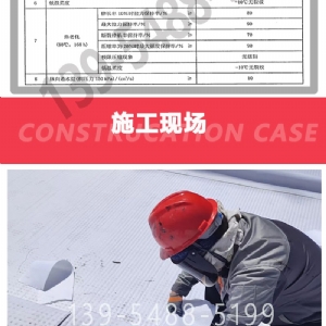 HDPE塑料排水板